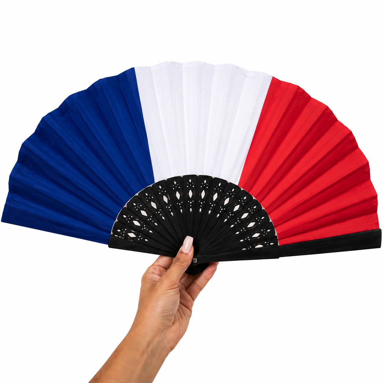 France Holding fan