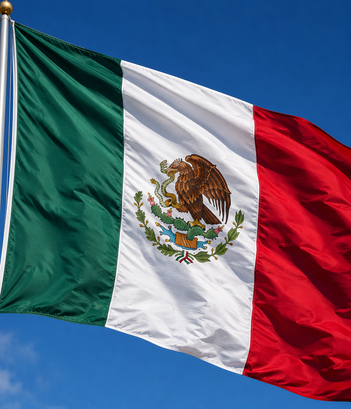 Mexico football fan flag
